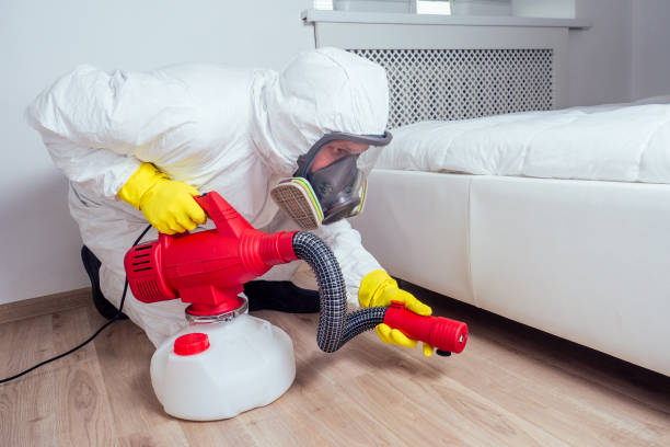 Best Local Pest Control Services  in Bouse, AZ